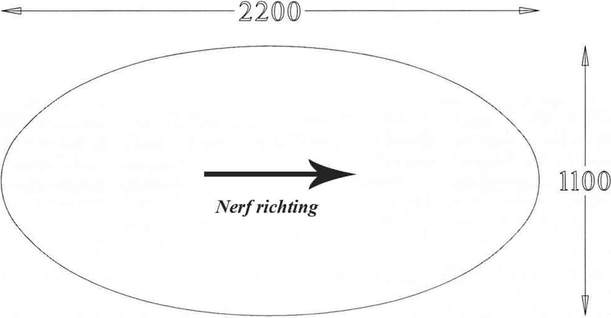 ABC Kantoormeubelen Ellips vergaderblad 220x110cm Licht Eiken