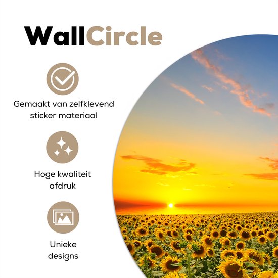 Papier peint cercle - Tournesol - Fleurs - Champ - Jaune - Papier peint autocollant - 50x50 cm - Papier peint cercle fleurs - Papier peint autocollant - Papier peint cercle - Papier peint rond - Papier peint cercle autocollant