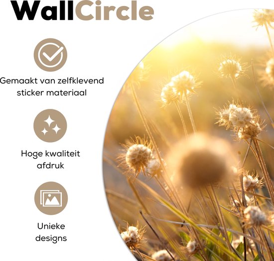 WallCircle - Stickers muraux - Cercle Papier Peint - Plantes - Nature - Fleurs - Soleil - Horizon - 100x100 cm - Cercle Mural - Auto Adhésif - Sticker Papier Peint Rond XXL