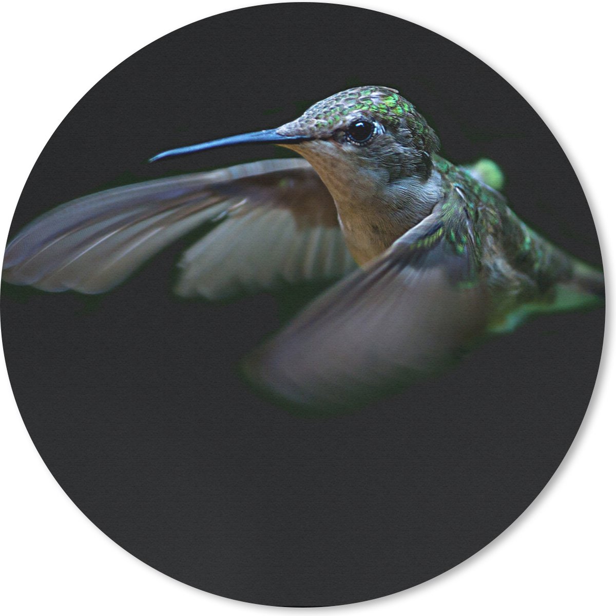Muismat rond 20x20 cm - Mousepad Kolibrie - Vogel - Veren - Zwart - Ronde muismatten