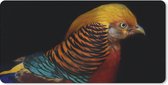Bureauonderlegger - Vogel - Veren - Zwart - Portret - 60x30 - Muismat