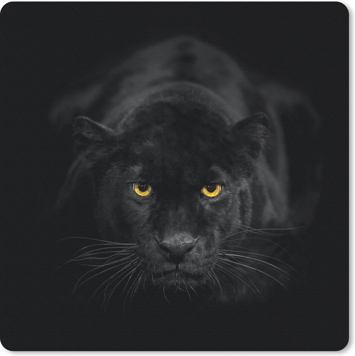 Muismat 30x30 cm - Mousepad Luipaard - Ogen - Zwart - Muismatten