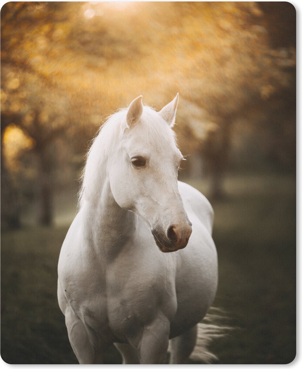 Muismat 19x23 cm - Mousepad Paard - Zon - Herfst - Dieren - Natuur - Muismatten
