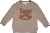 Frogs and Dogs - Sweat-shirt raton laveur - - Taille 74 -