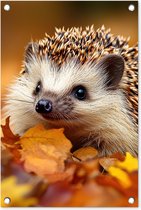 Tuinposter 40x60 cm - Tuindecoratie Egel - Bos - Herfstbladeren - Herfst - Bosdieren - Natuur - Poster voor in de tuin - Buiten decoratie - Schutting tuinschilderij - Tuindoek muurdecoratie - Wanddecoratie balkondoek