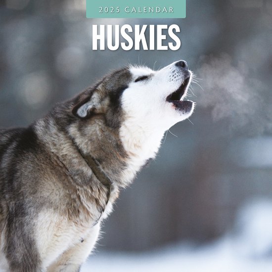 Huskies Kalender 2025 Bol 550x550 