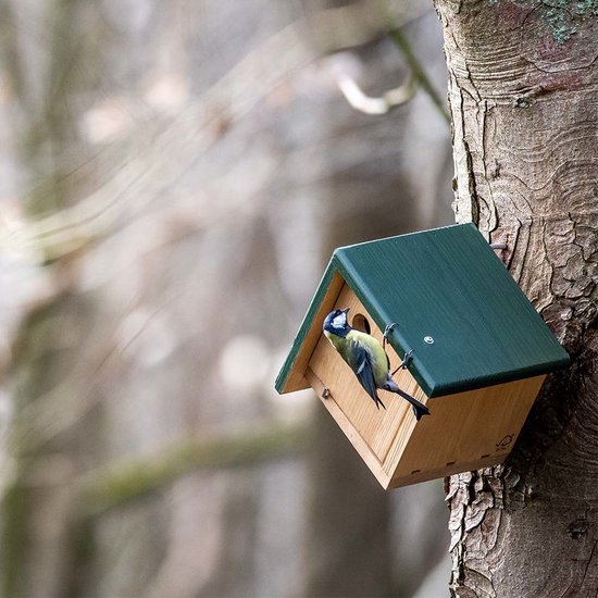 CJ Wildlife Nestkast Jamaica 28mm Hout