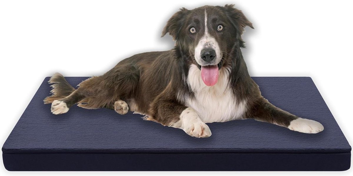 MyBestBuddy Hondenkussen Premium orthopedisch met 8 cm volledig schuimkern grijs 90x70 cm XL, hondenmat met stoffen bekleding, wasbaar op 40°C, allergievriendelijk - hondenbed voor grote honden, 90 x