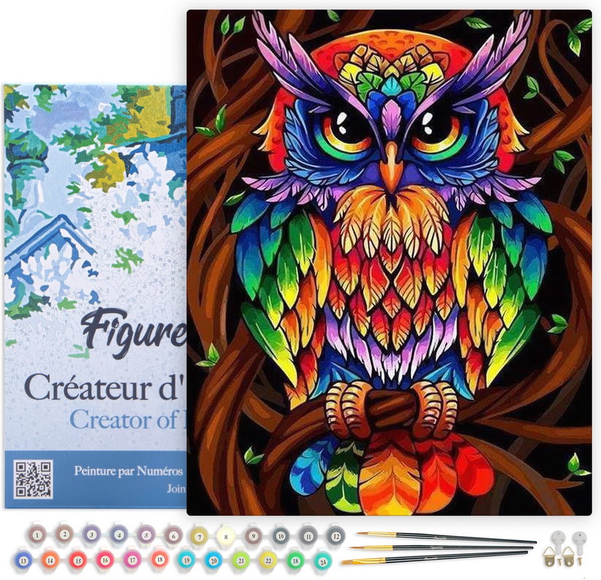 Figured'Art Schilderen op Nummer Volwassenen met lijst - Kleurrijke uil - Handwerk acrylverf Kit DIY Compleet - 40x50cm Canvas al ingelijst