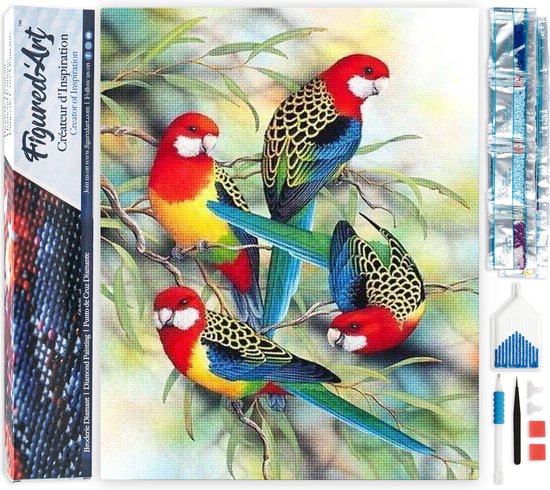 Un kit de peinture diamantée 'Figured'Art' avec une image de quatre perroquets sur une branche et tous les accessoires.