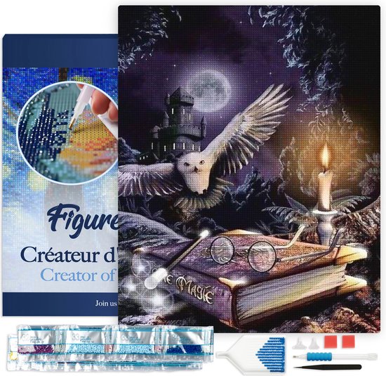 Figured' Art Diamond Painting set Adultes 40x50 cm avec cadre Hibou Magique - 5D DIY Art Full Drill Square Diamond - Toile déjà encadrée