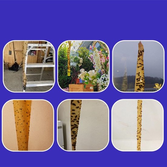 Attrape Mouche Papier, 20 Rouleaux de Mouche Rouleaux de Papier Attrape Mouche Papier, 20 Rouleaux de Mouche Rouleaux de Papier