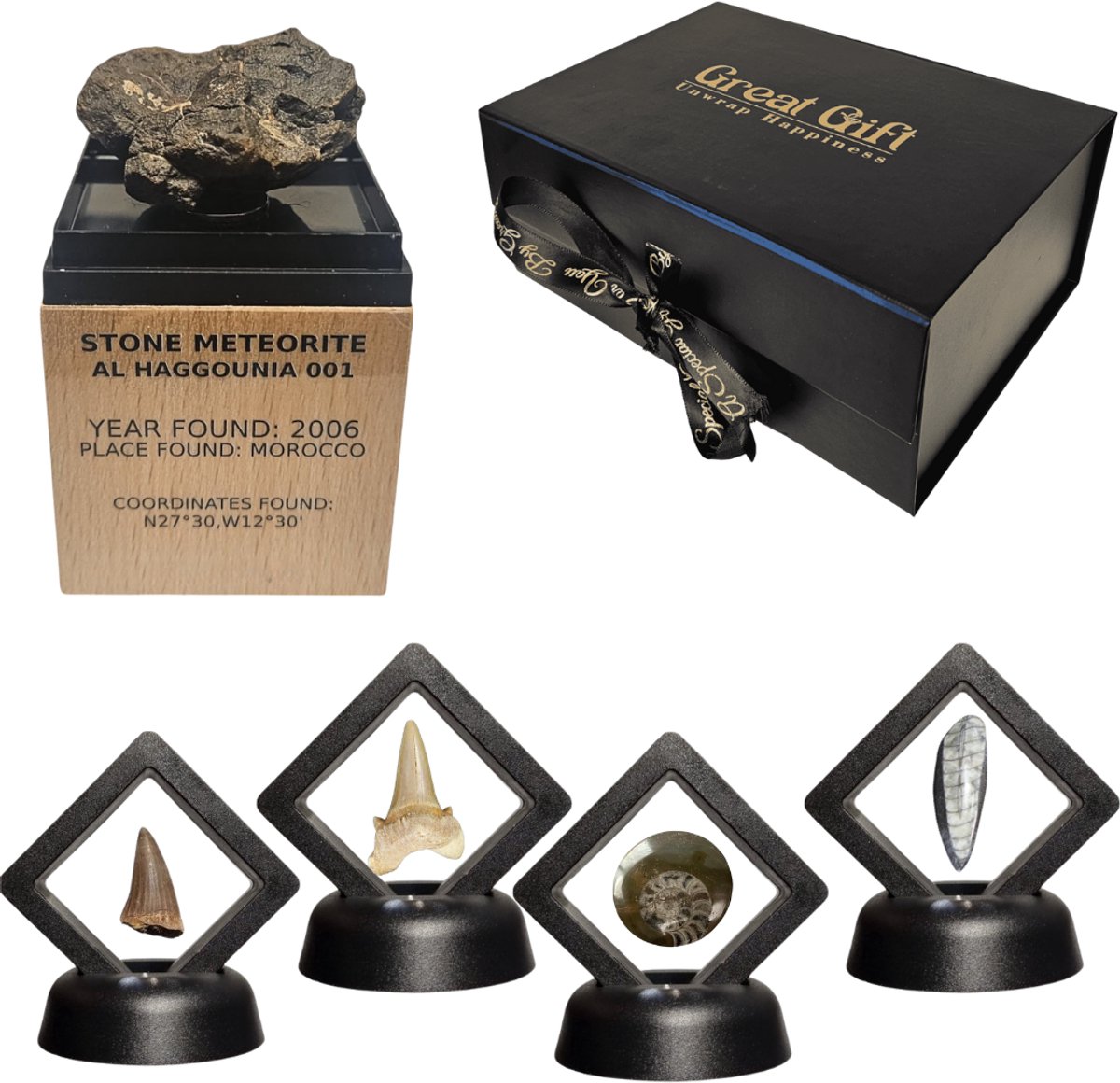 GreatGift - Luxe Fossielen & Meteoriet Cadeaubox – 4 Unieke Fossielen + 1 Originele Meteoriet – Verzamelaarscadeau in Geschenkverpakking
