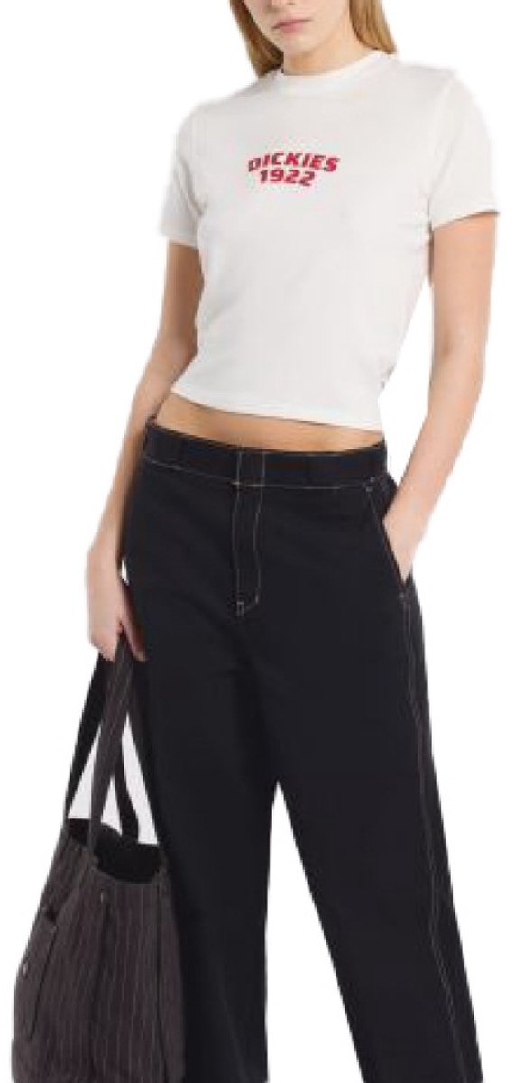 DICKIES DK0A4Z8FC481 CENTER LOGO S EU Wit