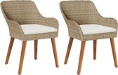 vidaXL - Chaises de jardin - avec Coussins - 2 pièces - Beige - Poly - Rotin