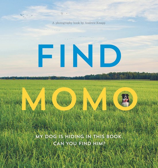 Find Momo - cover