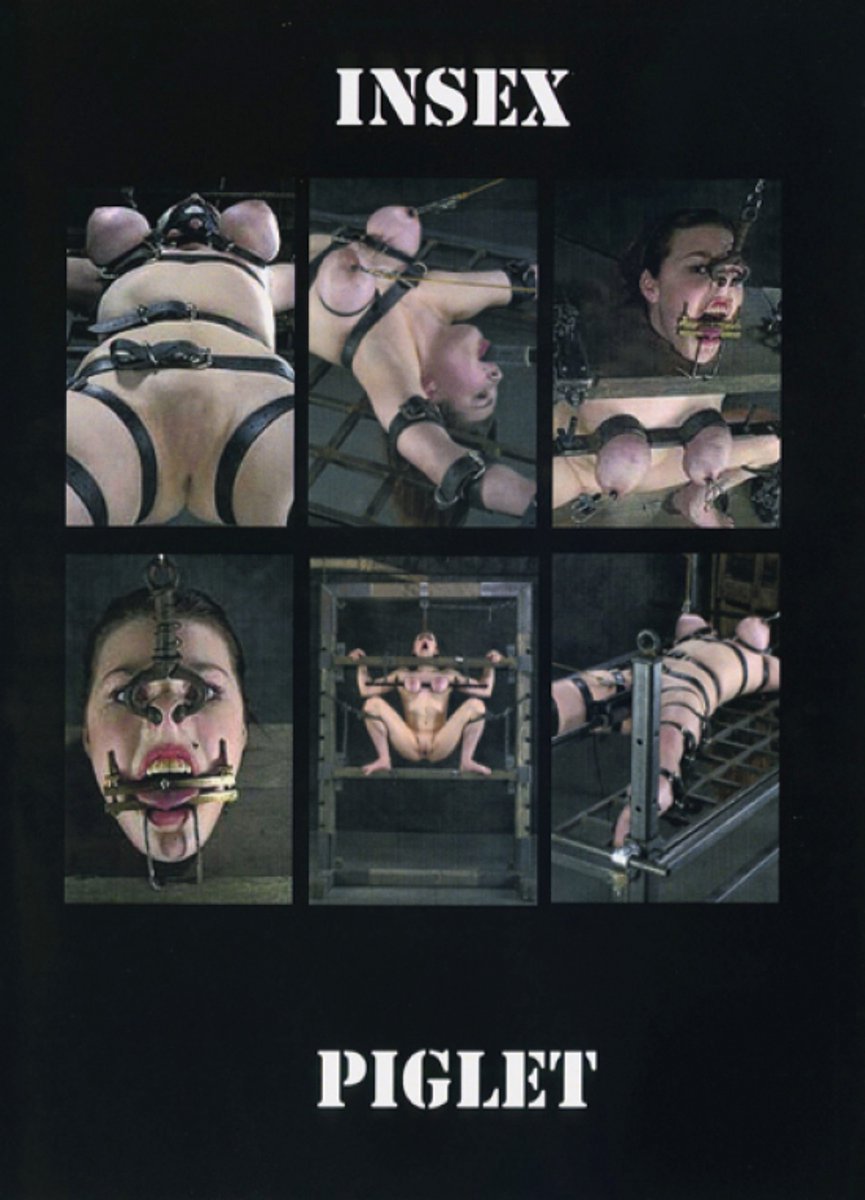 Insex - Piglet - INS186