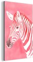 Zebra, Roze