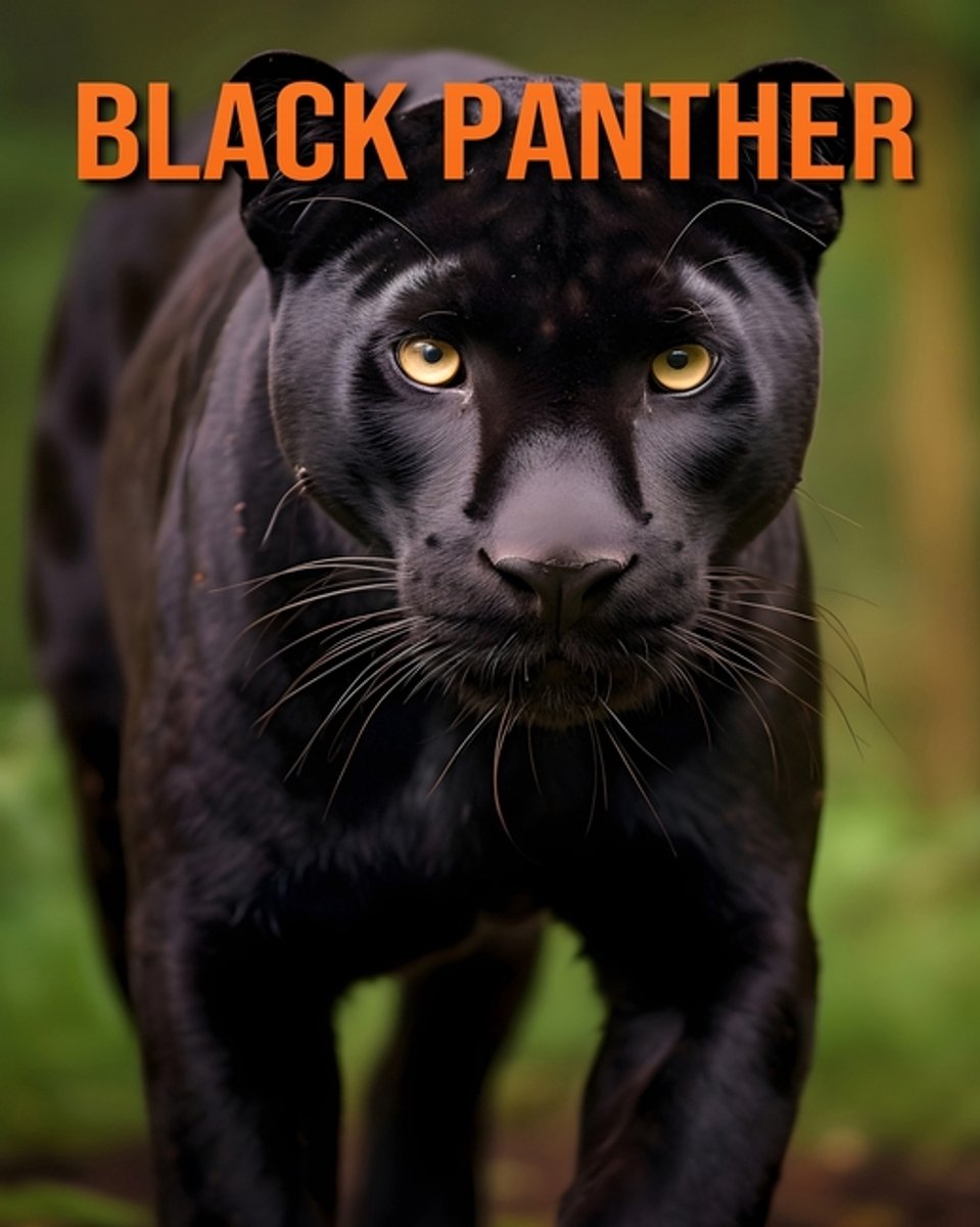 Black Panther van