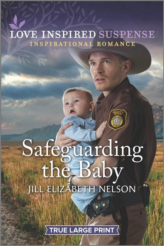 Safeguarding the Baby - cover