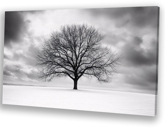 Arbre nu dans un paysage hivernal - Décoration murale arbre - Décoration murale toile nature - Zwart et blanc - Décoration murale industrielle - Décoration murale - toile 90x60 cm