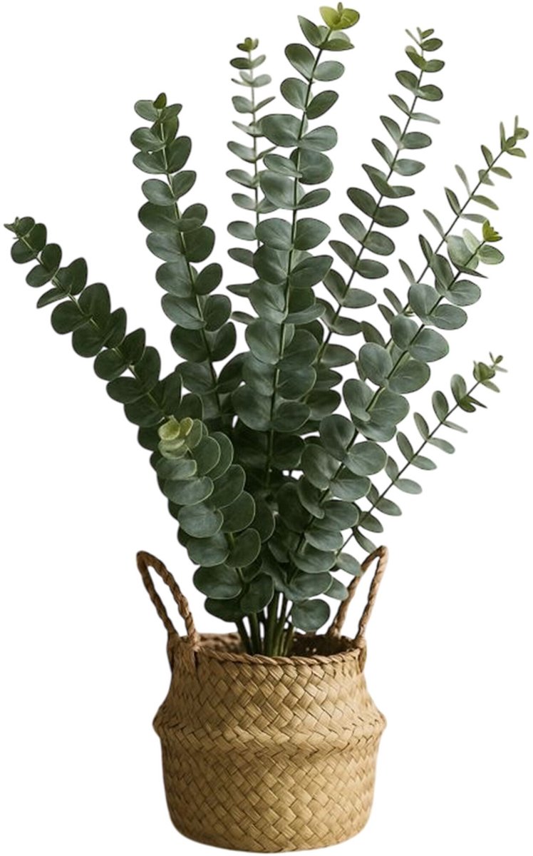 HEM Kunstplant Eucalyptus – 50 cm – Nepplant met Mand – Realistische Kamerplant – Groene Decoratie voor Woonkamer of Kantoor