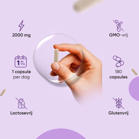 Hand die een enkele mariadistel capsule vasthoudt. Iconen met 2000 mg, 1 gmo-vrij, 180 capsules, lactosevrij en glutenvrij.