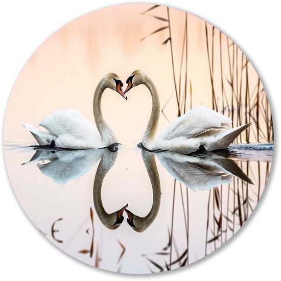 Elegante zwanen in hartvorm - Zwanen muurcirkel - Rond wandpaneel dieren - Realistische kunst - Dibond muurdecoratie - Kunstwerk - muurcirkel aluminium 40x40 cm
