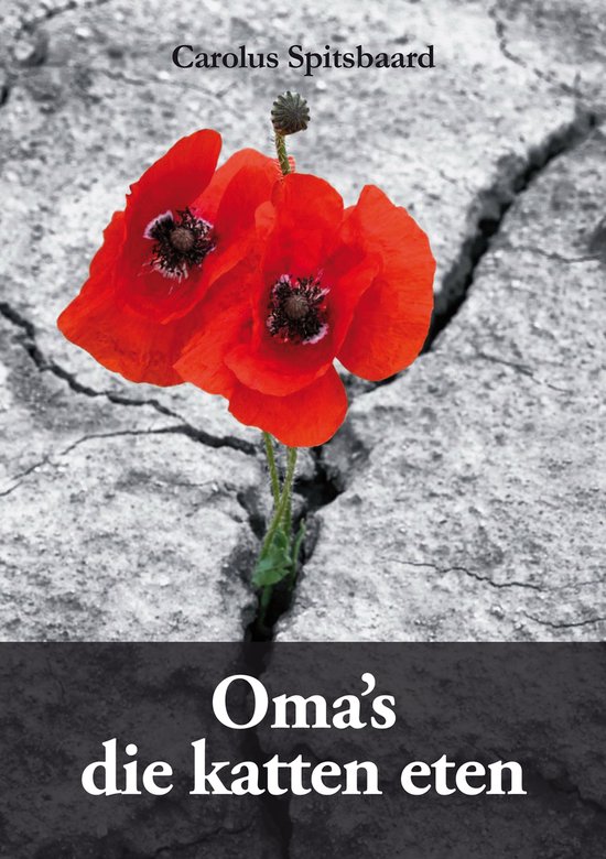 9789462473317 - Oma's die katten eten