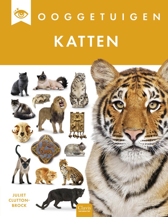 Ooggetuigen - Katten - cover