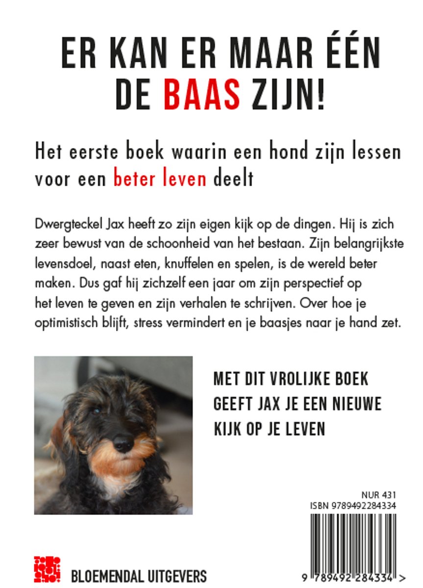 Een dwergteckel met een bruin en zwart gevlekt vacht kijkt naar de camera. Tekst: 'Er kan er maar één de baas zijn!'