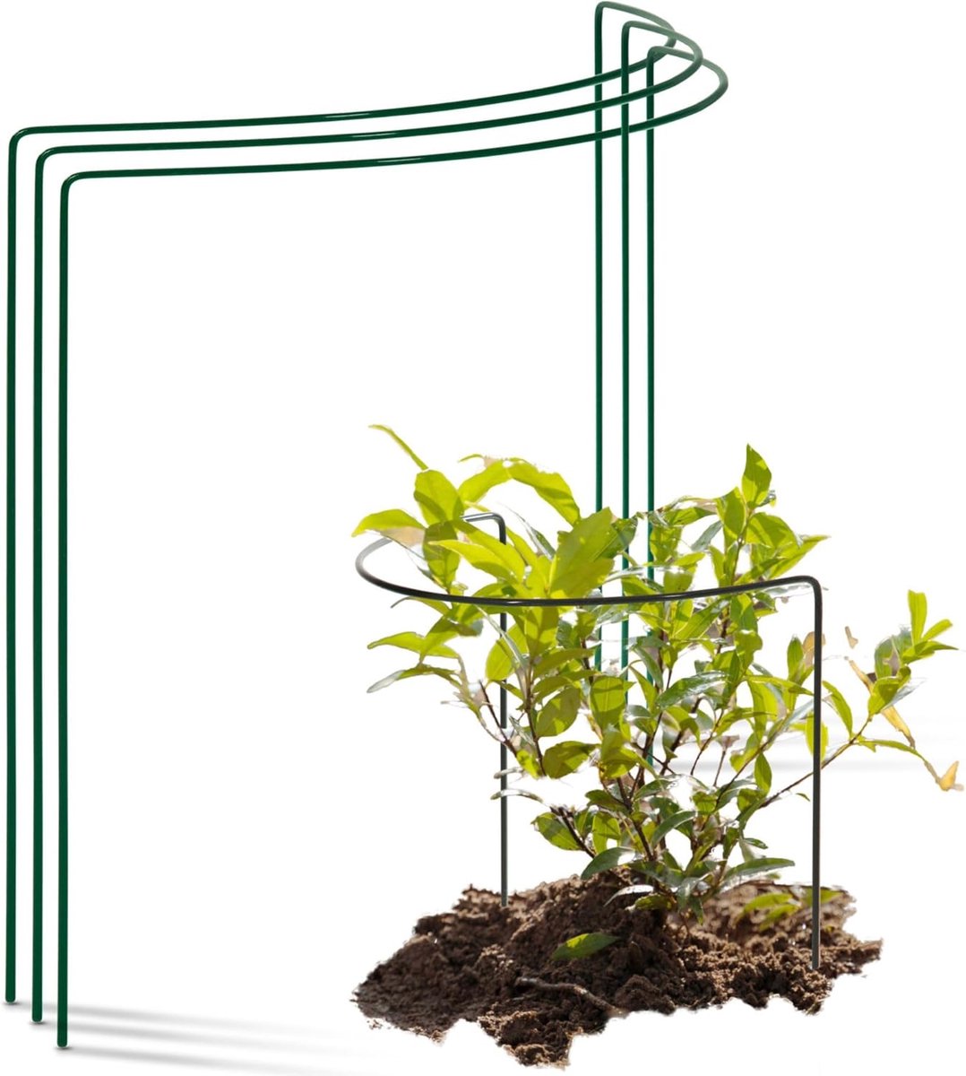 3 struiksteunen halfrond 40 cm Ø50 cm hoog groene vaste plantenhouder bloemenhouder klimplant plantensteun bloemensteun vaste plantensteun klimhulp struikhouder rozensteun