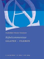StudieBijbel NT 8 - Galaten - Filemon