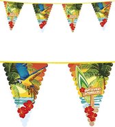 6x Beach Reuzen vlaggenlijn 45x30 cm 6 meter - strand tropical thema feest festival vlaglijnnen