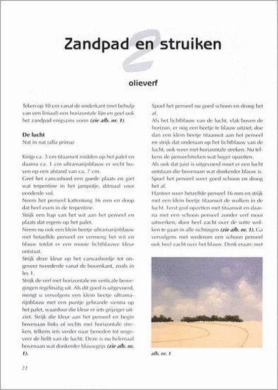 Schilderen Met Olieverf En Acryl