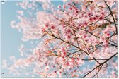 Tuinposters buiten Sakura - Lente - Takken - 90x60 cm - Tuindoek - Buitenposter