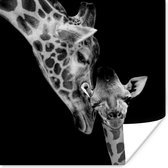 Poster Portret - Giraffe - Dieren - Zwart - Wit - 50x50 cm