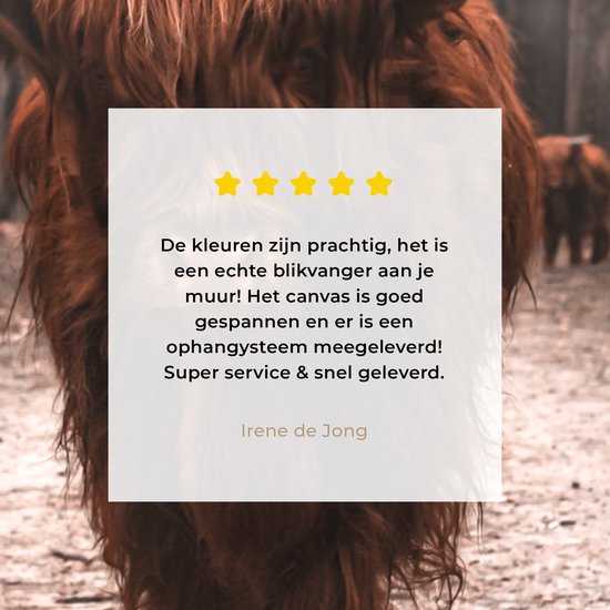 Peinture sur toile Scottish Highlander - Forêt - Vache - Animaux - Nature - 60x90 cm - Décoration murale