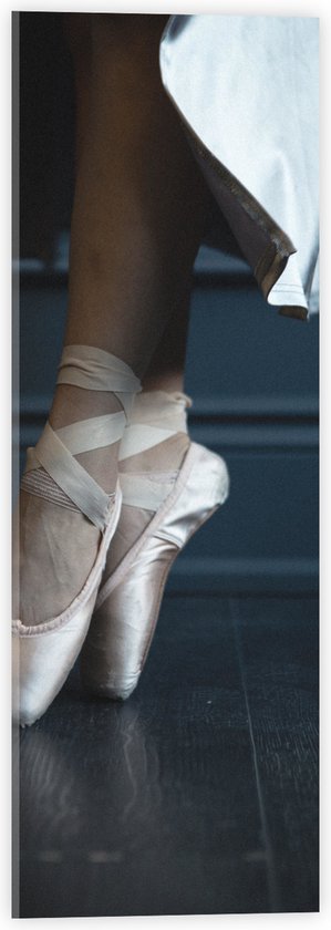 Acrylglas - Ballerina aan het Dansen op Spitzen - 20x60 cm Foto op Acrylglas (Met Ophangsysteem)