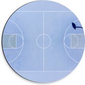 Dibond Muurcirkel - Bovenaanzicht van Basketbalveld - 30x30 cm Foto op Aluminium Muurcirkel (met ophangsysteem)