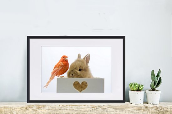 Photo en cadre - Bébé lapin avec un cadre photo oiseau rouge noir avec passe-partout blanc 40x60 60x40 cm - Affiche sous cadre (Décoration murale salon / chambre)