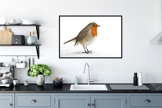 Affiche avec cadre Robin - Neige - Wit - 90x60 cm