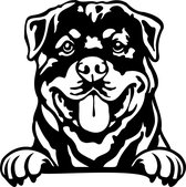 Sticker - Glurende Hond - Rottweiler - Zwart - 25x20cm - Peeking Dog