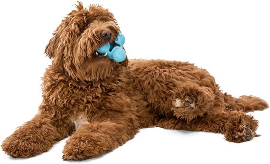 West Paw Tux Zogoflex - Extra sterk & vulbaar speeltje voor honden - Kleur: Groen, Maat: Small