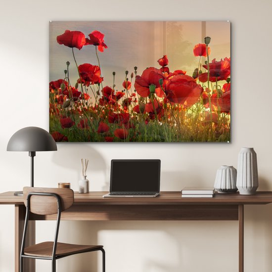 Peinture sur verre Fleurs - Coquelicots - Rouge - Coucher de soleil - Peintures de salon - Photo sur verre - Plaque de verre - Décoration de chambre - 120x80 cm - Décoration murale - Décoration murale - Chambre - Peinture sur verre