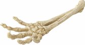 Aqua Della - Aquariumdecoratie - Vissen - Skelet Hand 26,8x9,4x4,5cm - 1st