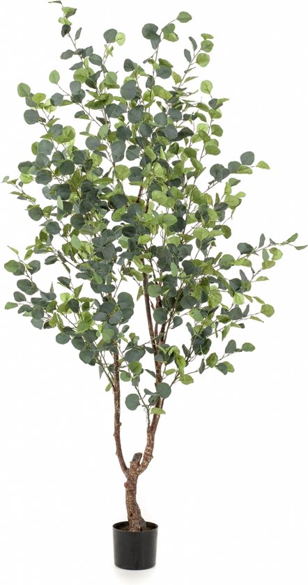 Fleurdirect Kunstplant Eucalypthus - Polyester - Groen - 0 x 180 x 0 cm (BxHxD)