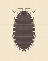 IXXI Woodlouse - Wanddecoratie - Dieren en insecten - 80 x 100 cm