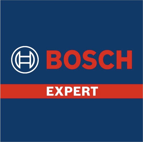 Lame de scie sabre Bosch EXPERT Hollow Brick S 1243 HM 