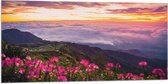 Vlag - Bergen - Bloemen - Uitzicht - Wolken - Zonsondergang - Kleuren - 100x50 cm Foto op Polyester Vlag